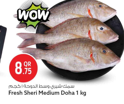 available at Safari Hypermarket in Qatar - Doha
