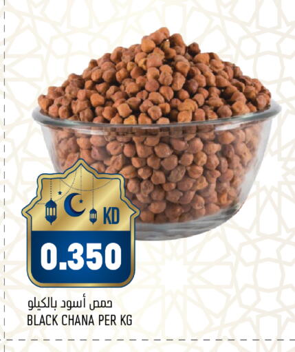 available at أونكوست in الكويت - محافظة الجهراء