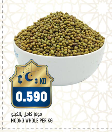 available at أونكوست in الكويت - محافظة الجهراء