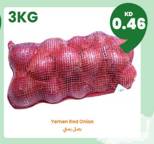 Onion from Yemen available at Taw9eel.com in Kuwait - Kuwait City