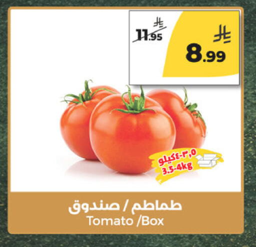 Tomato available at  دانة طازج يوميا in مملكة العربية السعودية, السعودية, سعودية - الرياض