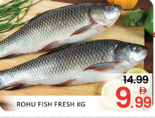 Mango available at Mango Hypermarket LLC in UAE - Dubai