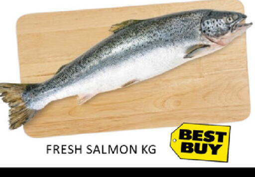 Mango available at Mango Hypermarket LLC in UAE - Dubai