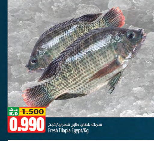 Mango available at مانجو هايبرماركت in الكويت - محافظة الجهراء