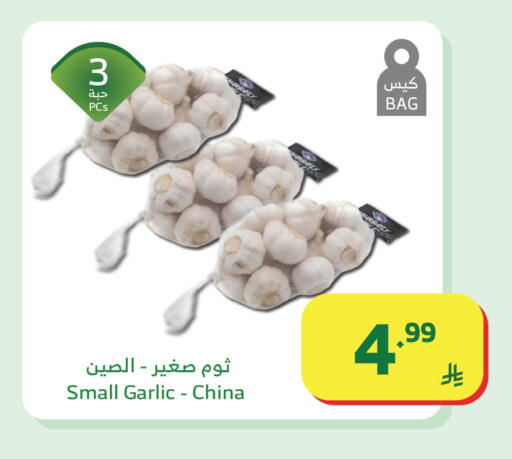 Garlic from China available at الراية in مملكة العربية السعودية, السعودية, سعودية - جدة
