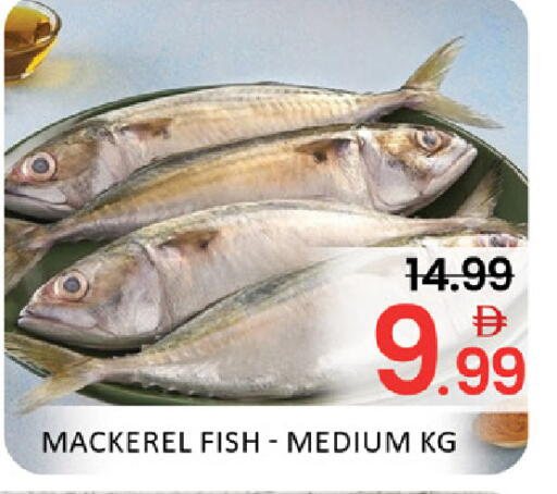 Mango available at Mango Hypermarket LLC in UAE - Dubai