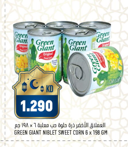 available at Oncost in Kuwait - Jahra Governorate