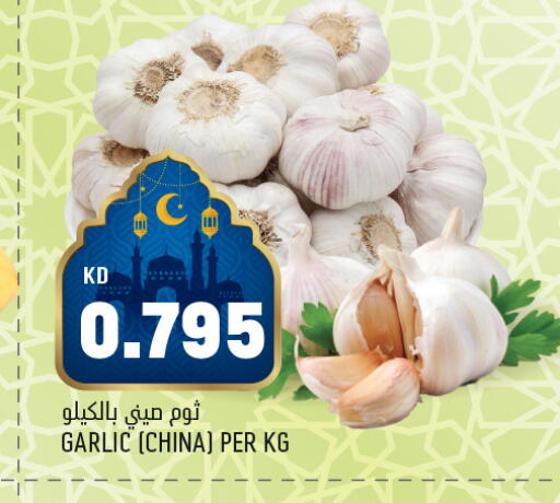 Garlic from China available at Oncost in Kuwait - Jahra Governorate