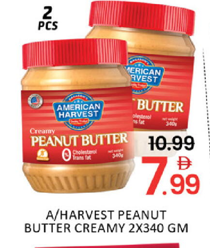 Mango available at Mango Hypermarket LLC in UAE - Dubai