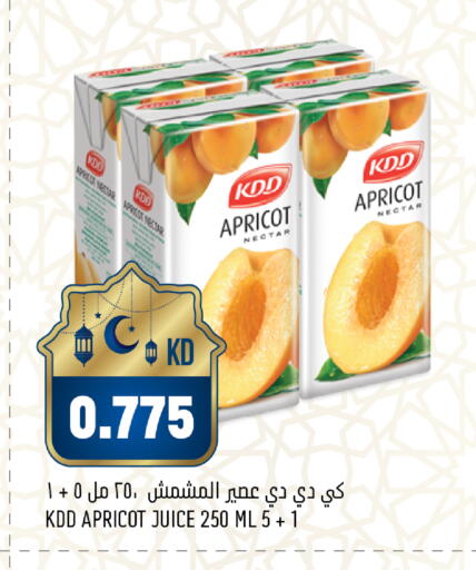 Apricot available at أونكوست in الكويت - محافظة الجهراء