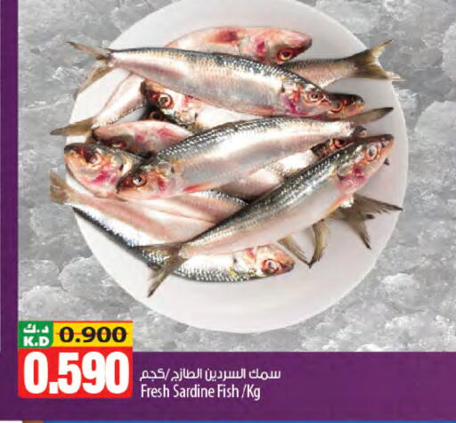 Mango available at مانجو هايبرماركت in الكويت - محافظة الجهراء