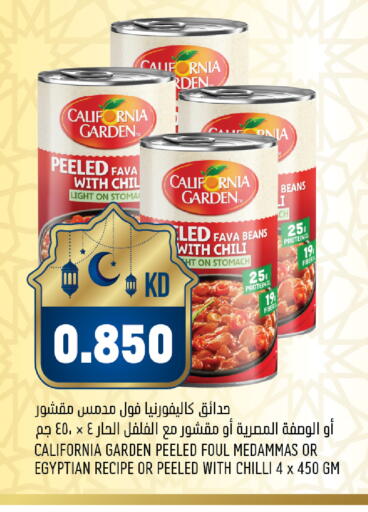 Chilli available at Oncost in Kuwait - Jahra Governorate