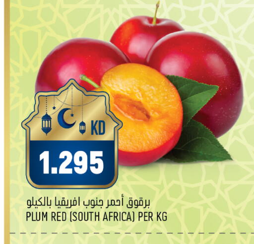 Plum from South Africa available at أونكوست in الكويت - محافظة الجهراء