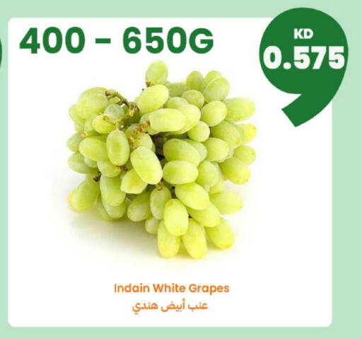 Grapes available at توصيل  in الكويت - محافظة الجهراء