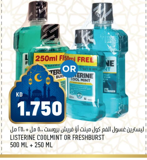 Mint available at أونكوست in الكويت - محافظة الجهراء