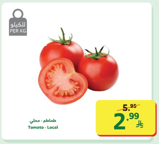 Tomato available at الراية in مملكة العربية السعودية, السعودية, سعودية - جدة