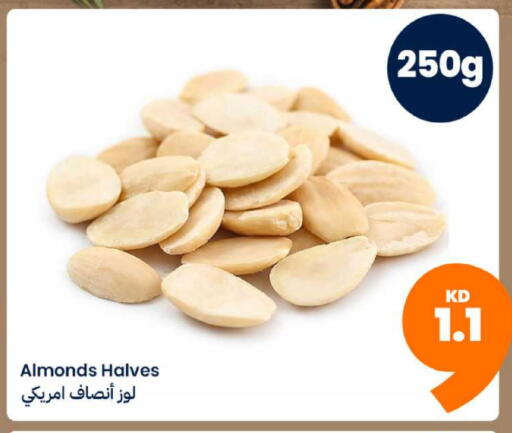 available at Taw9eel.com in Kuwait - Jahra Governorate