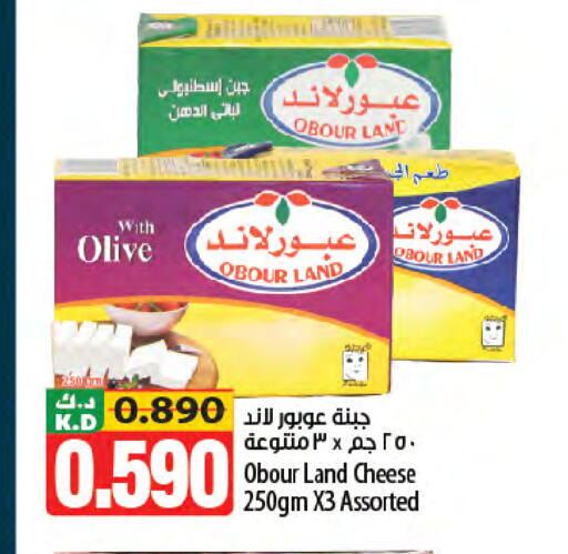 Mango available at مانجو هايبرماركت in الكويت - محافظة الأحمدي