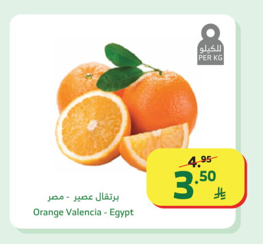Orange from Egypt available at الراية in مملكة العربية السعودية, السعودية, سعودية - أبها