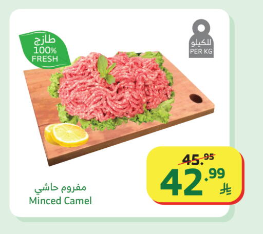 available at الراية in مملكة العربية السعودية, السعودية, سعودية - نجران