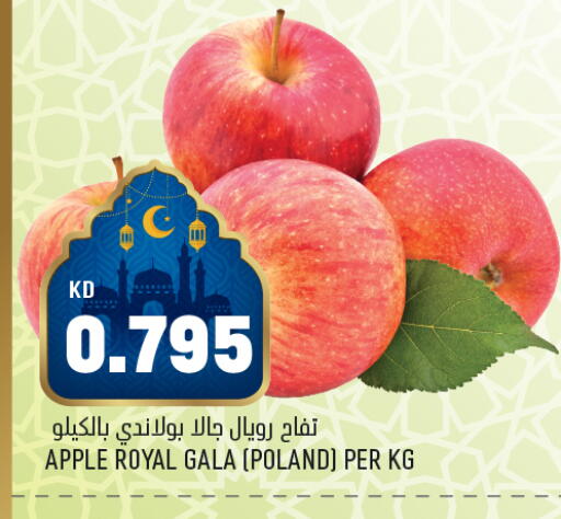 Apple from Poland available at Oncost in Kuwait - Kuwait City