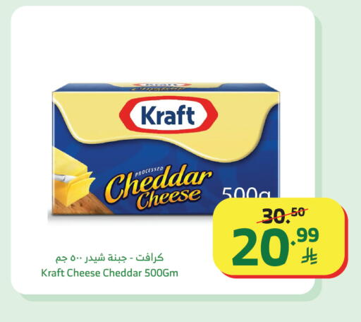 available at Al Raya in KSA, Saudi Arabia, Saudi - Abha