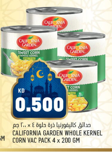available at Oncost in Kuwait - Ahmadi Governorate