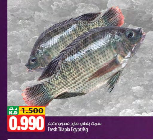 Mango available at مانجو هايبرماركت in الكويت - محافظة الجهراء