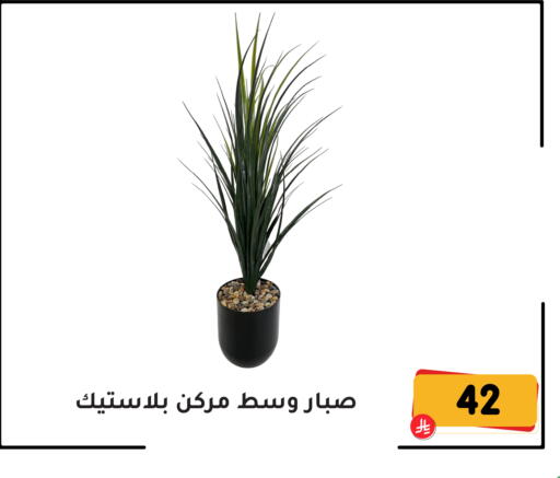 available at تخفيضات العائلة in مملكة العربية السعودية, السعودية, سعودية - المنطقة الشرقية