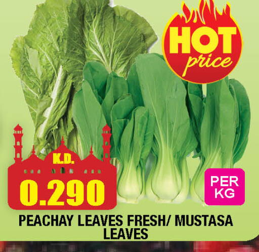 available at سوق امباسادور المركزي in الكويت - مدينة الكويت