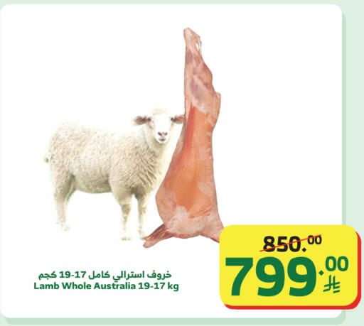 available at الراية in مملكة العربية السعودية, السعودية, سعودية - نجران