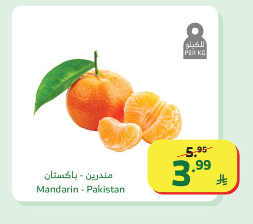 Mandarin from Pakistan available at الراية in مملكة العربية السعودية, السعودية, سعودية - أبها