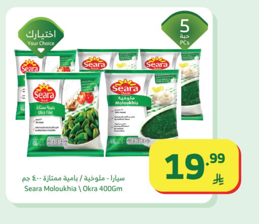 Okra available at الراية in مملكة العربية السعودية, السعودية, سعودية - نجران