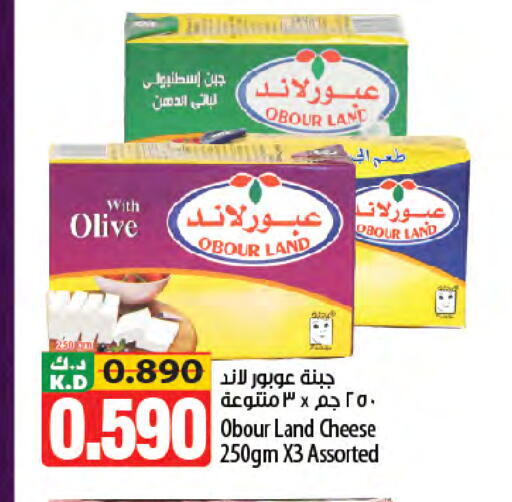 Mango available at مانجو هايبرماركت in الكويت - محافظة الأحمدي