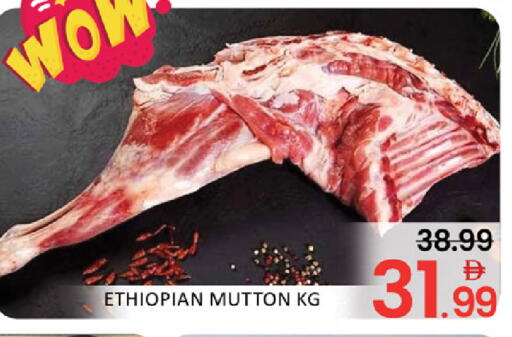 Mango available at Mango Hypermarket LLC in UAE - Dubai