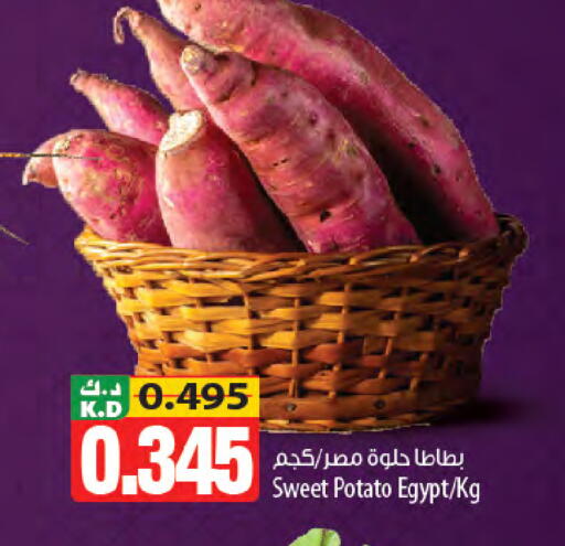 Mango Sweet Potato from Egypt available at Mango Hypermarket  in Kuwait - Ahmadi Governorate