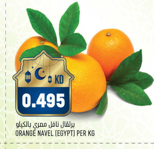 Orange from Egypt available at أونكوست in الكويت - محافظة الجهراء
