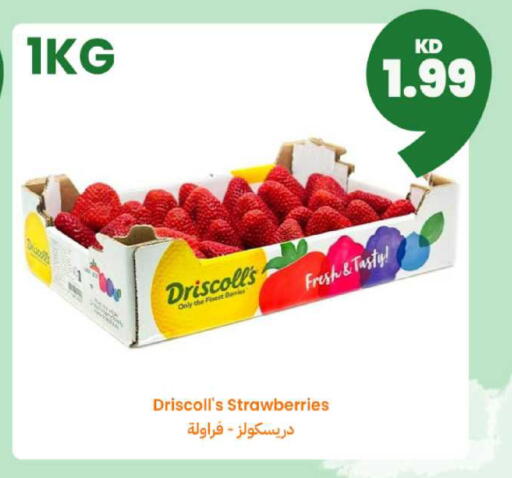 available at توصيل  in الكويت - محافظة الجهراء