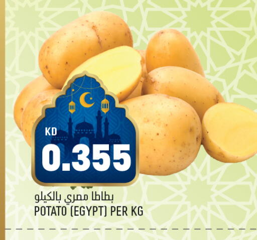 Potato from Egypt available at Oncost in Kuwait - Ahmadi Governorate