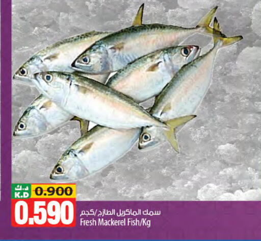 Mango available at مانجو هايبرماركت in الكويت - محافظة الجهراء