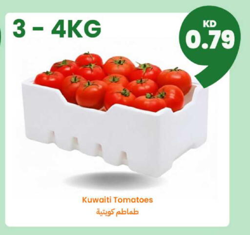 Tomato from Kuwait available at Taw9eel.com in Kuwait - Jahra Governorate