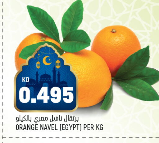 Orange from Egypt available at أونكوست in الكويت - محافظة الجهراء