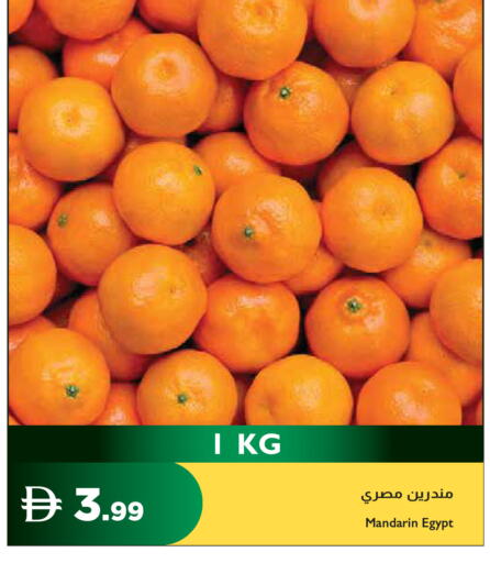 Mandarin from Egypt available at Istanbul Supermarket in UAE - Ras al Khaimah