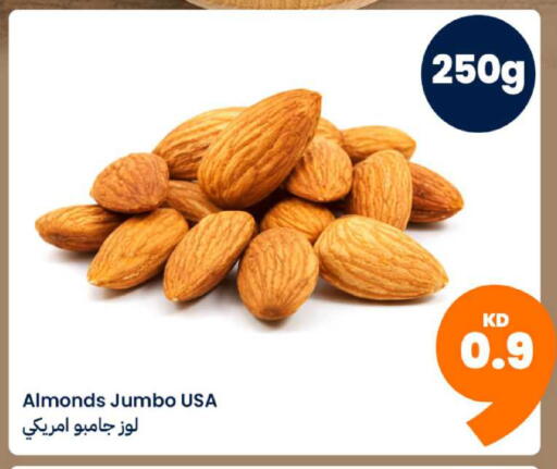 available at Taw9eel.com in Kuwait - Jahra Governorate