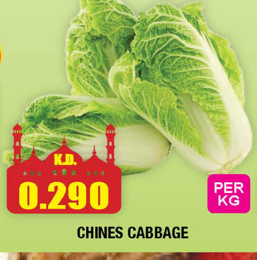 Cabbage available at سوق امباسادور المركزي in الكويت - مدينة الكويت