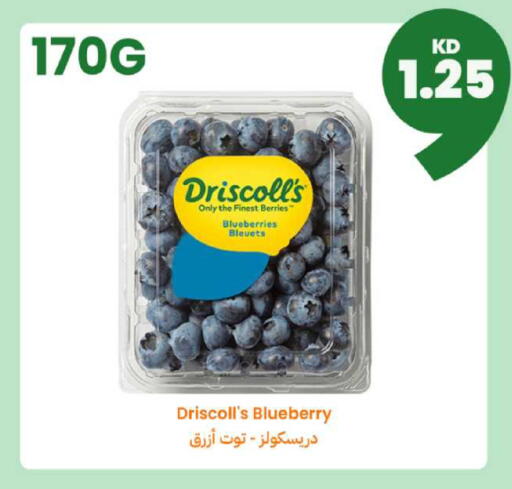 Blueberry BlueBerry available at توصيل  in الكويت - محافظة الجهراء