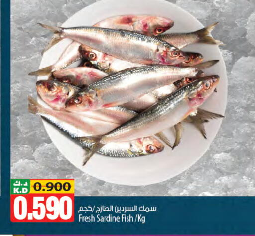 Mango available at مانجو هايبرماركت in الكويت - محافظة الجهراء