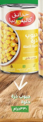 available at Flamingo Hyper Market in Egypt - Cairo