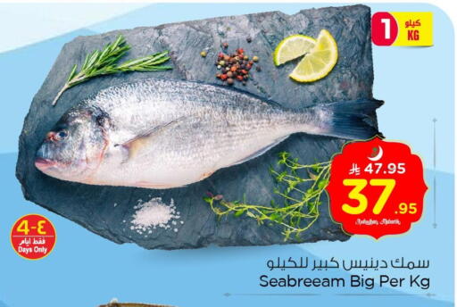 available at نستو in مملكة العربية السعودية, السعودية, سعودية - الجبيل‎