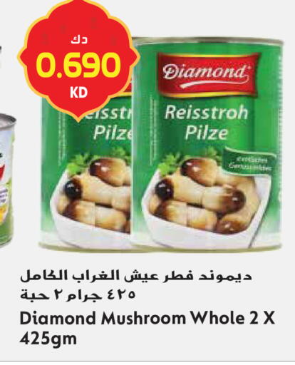 Mushroom available at Grand Hyper in Kuwait - Ahmadi Governorate